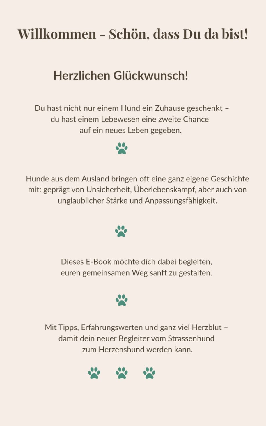 " E- Flipbook: Tipps für die Eingewöhnung von Hunden aus dem Ausland
