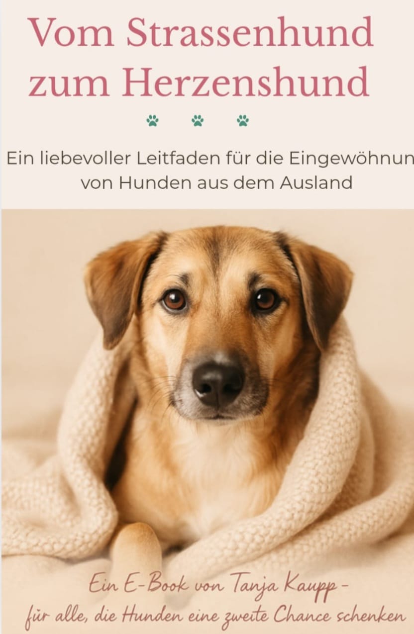 " E- Flipbook: Tipps für die Eingewöhnung von Hunden aus dem Ausland